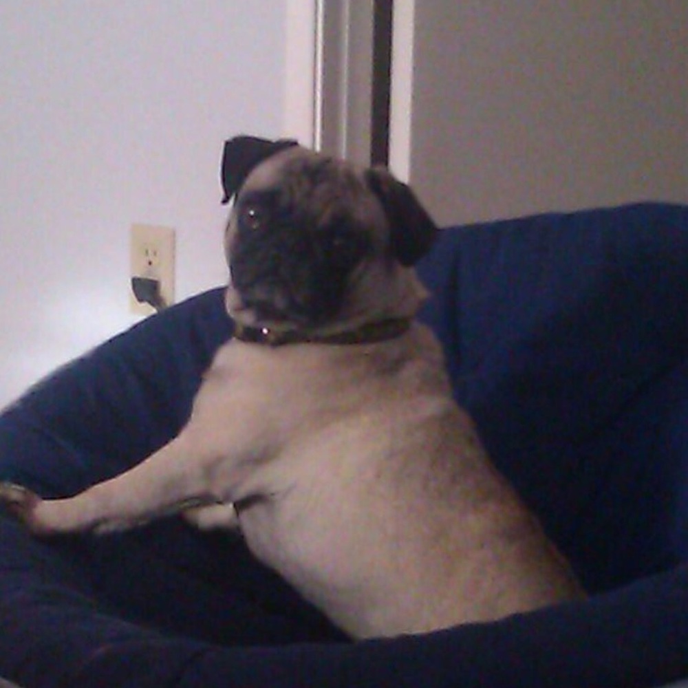 Meet your Posher, Ruby